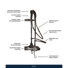 Load image into Gallery viewer, Nova Hackamore Bridle