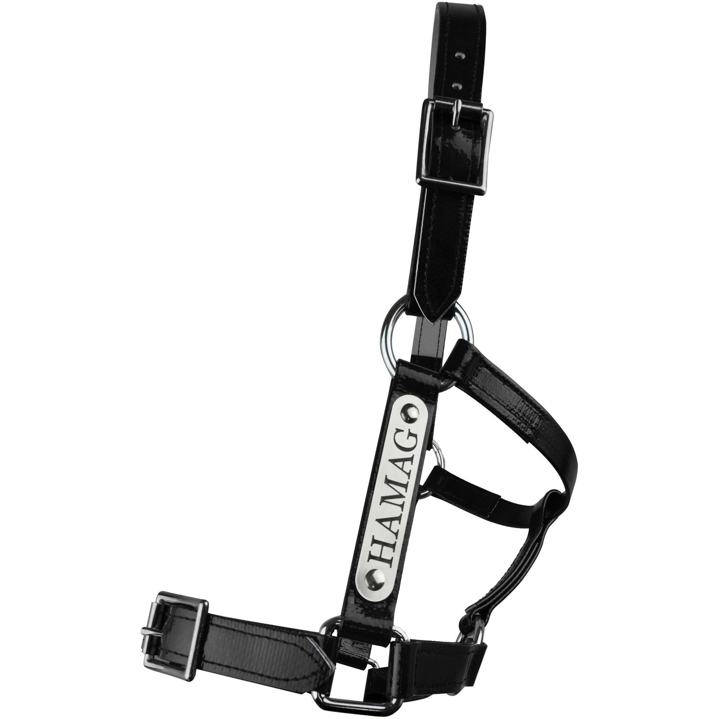 Custom PVC Halter with Engraved Horse Nameplate