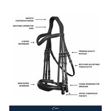 Load image into Gallery viewer, Corvus Dressage Double Bridle