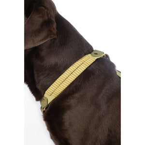 Amitye Dog Harness