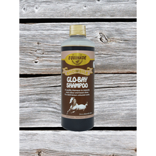 Load image into Gallery viewer, Showsilk Glo-Colour Shampoo