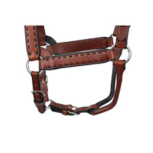 Load image into Gallery viewer, Buck Stitch Leather Halter
