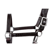 Load image into Gallery viewer, English Croc Leather Halter