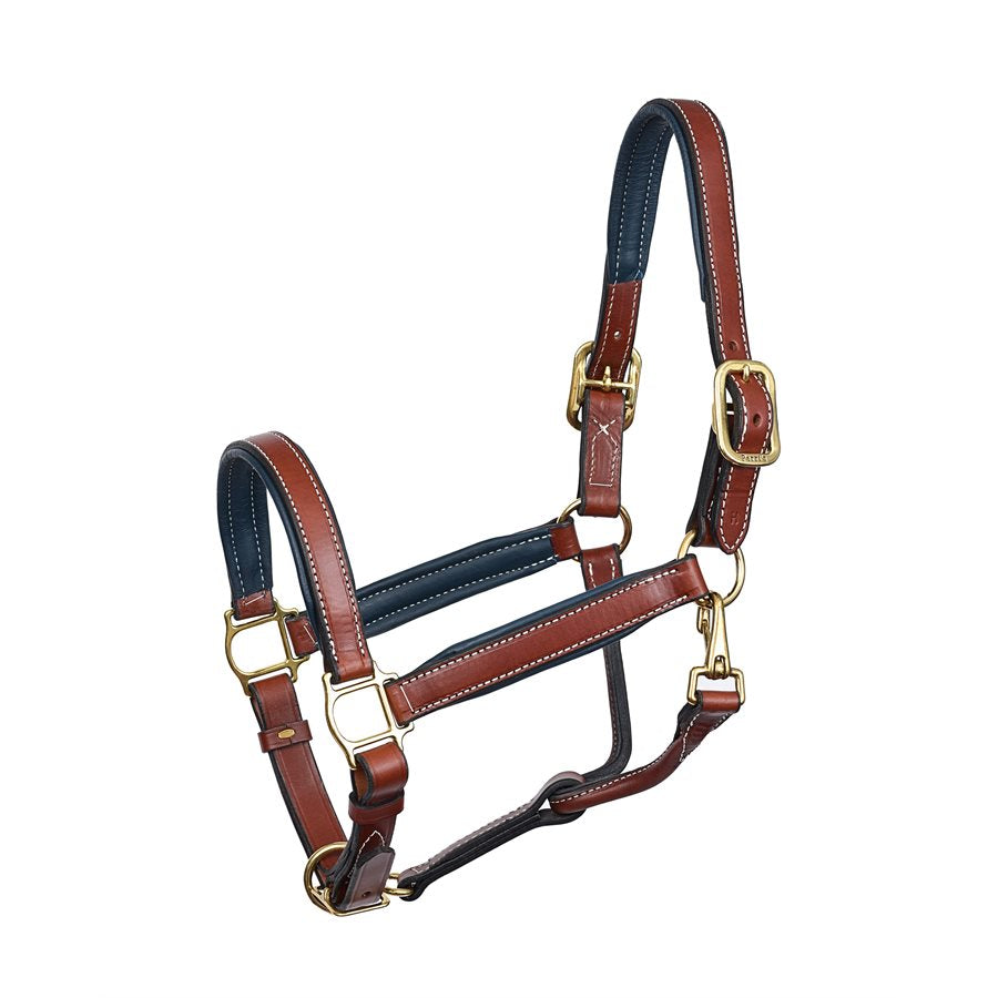 Padded Leather Halter