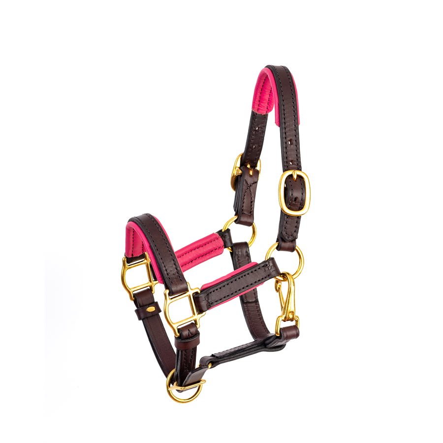 Padded Leather Halter