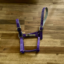 Load image into Gallery viewer, Custom PVC Halter with Engraved Horse Nameplate