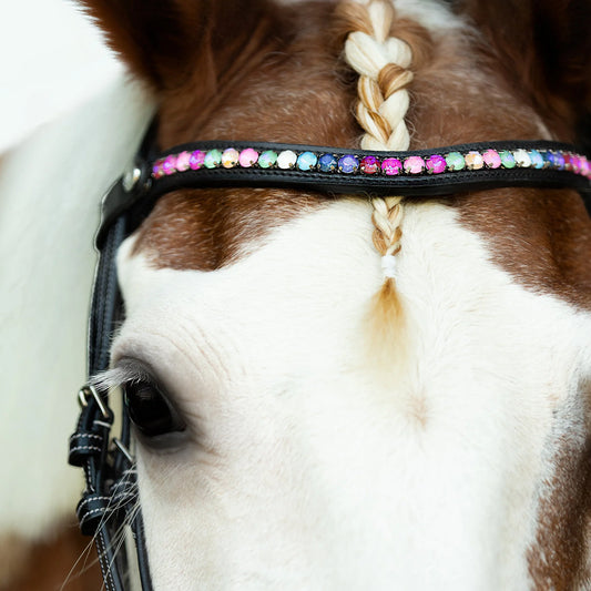 Rainbow Bridle (Convertible) (No reins)
