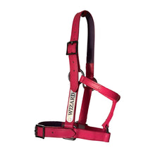 Load image into Gallery viewer, Custom PVC Halter with Engraved Horse Nameplate
