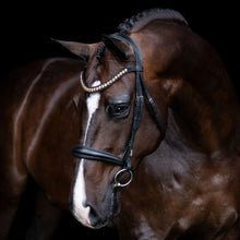 Load image into Gallery viewer, Athens Leather Bridle (No reins)