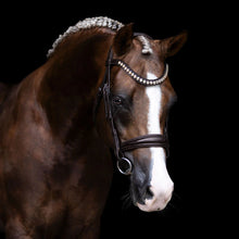 Load image into Gallery viewer, Athens Leather Bridle (No reins)