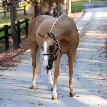 Load image into Gallery viewer, Hollywood Leather Halter