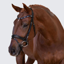 Load image into Gallery viewer, Demi Bridle (Hanoverian) (No reins)