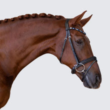 Load image into Gallery viewer, Demi Bridle (Hanoverian) (No reins)