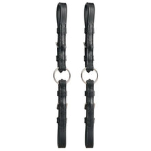 Load image into Gallery viewer, Ringed Pelham Roundings Bit Converter