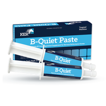 Load image into Gallery viewer, B-Quiet® Paste - Twin Pack