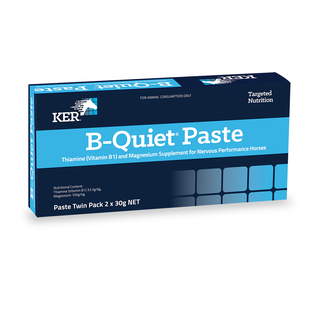 B-Quiet® Paste - Twin Pack