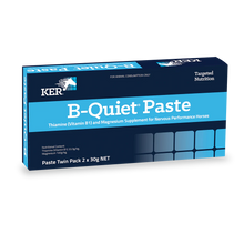 Load image into Gallery viewer, B-Quiet® Paste - Twin Pack