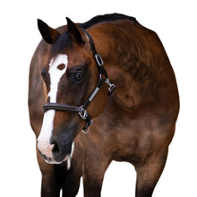 Load image into Gallery viewer, Alize Leather Halter