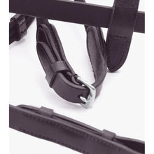 Load image into Gallery viewer, Altare Web Reins