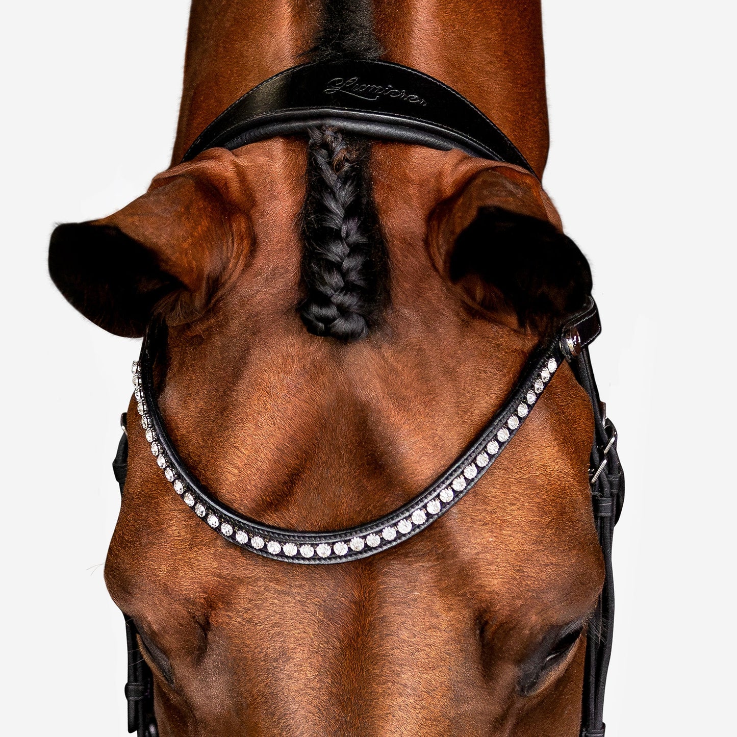 Aurelie Leather Bridle (Cavesson) (No reins)