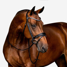 Load image into Gallery viewer, Aurelie Leather Bridle (Hanoverian) (No reins)