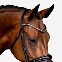 Load image into Gallery viewer, Aurelie Leather Bridle (Hanoverian) (No reins)