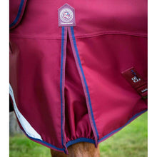 Load image into Gallery viewer, Titan 50g Turnout Rug with Classic Neck Cover