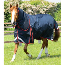 Load image into Gallery viewer, Buster 250g Turnout Rug with Classic Neck Cover