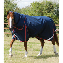 Load image into Gallery viewer, Buster 50g Turnout Rug with Snug-Fit Neck Cover