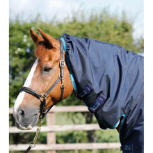 Load image into Gallery viewer, Buster Storm 100g Combo Turnout Rug with Snug-Fit Neck
