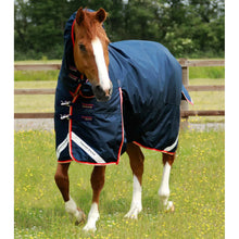 Load image into Gallery viewer, Buster Storm 200g Combo Turnout Rug with Snug-Fit Neck
