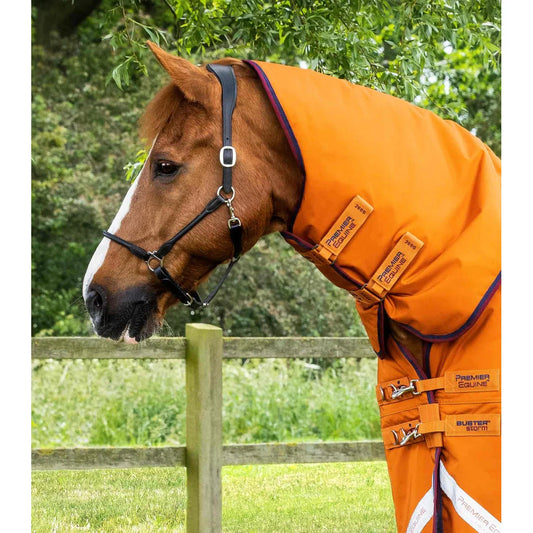 Buster Storm 200g Combo Turnout Rug with Classic Neck