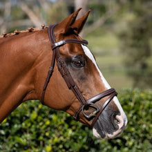 Load image into Gallery viewer, Delaney Bridle (Hanoverian) (No reins)