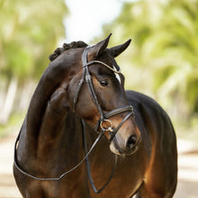 Load image into Gallery viewer, Megan Convertible Leather Bridle (No reins)