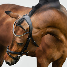 Load image into Gallery viewer, Megan Convertible Leather Bridle (No reins)