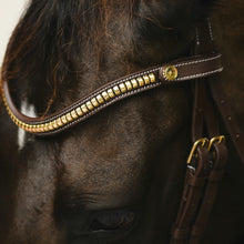Load image into Gallery viewer, Dallas Bridle (Anatomic) (No reins)