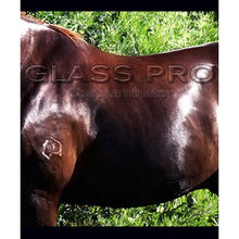 Load image into Gallery viewer, Glass Pro Coat Laminator - 250ml