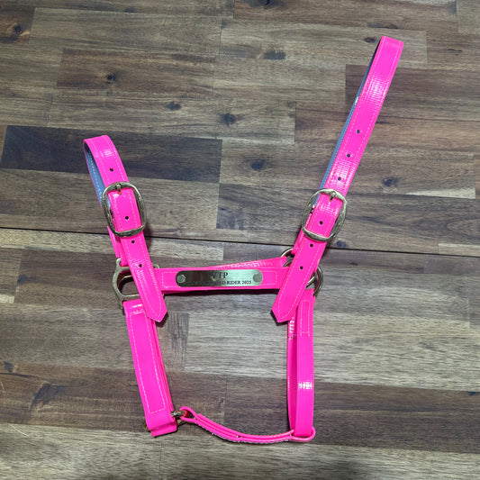 Custom PVC Halter with Engraved Horse Nameplate