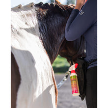 Load image into Gallery viewer, ProPlaits