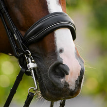 Load image into Gallery viewer, Diva (Double) (No reins)