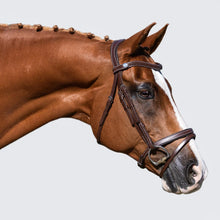 Load image into Gallery viewer, Delaney Bridle (Hanoverian) (No reins)