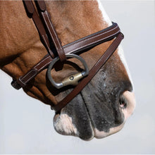 Load image into Gallery viewer, Delaney Bridle (Hanoverian) (No reins)