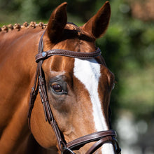 Load image into Gallery viewer, Delaney Bridle (Hanoverian) (No reins)