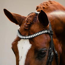 Load image into Gallery viewer, Diva Bridle (Cavesson) (No reins)