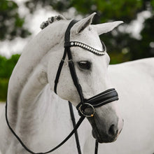 Load image into Gallery viewer, Diva Bridle (Cavesson) (No reins)
