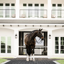 Load image into Gallery viewer, Ariana Bridle (Double) (No reins)