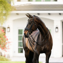Load image into Gallery viewer, Ariana Bridle (Double) (No reins)