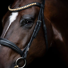 Load image into Gallery viewer, Athens Leather Bridle (No reins)