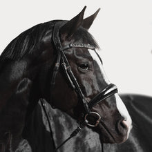 Load image into Gallery viewer, Audrey Rolled Leather Bridle (Cavesson) (No reins) - Full Size