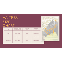 Load image into Gallery viewer, Bella Leather Halter